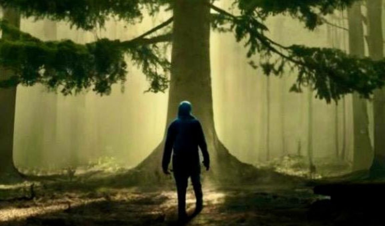 man standing in the forest